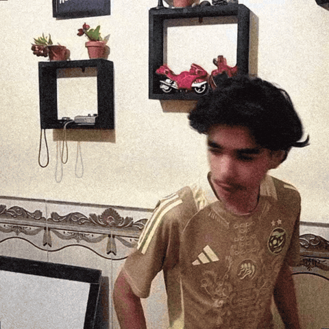 Insta Dz GIF