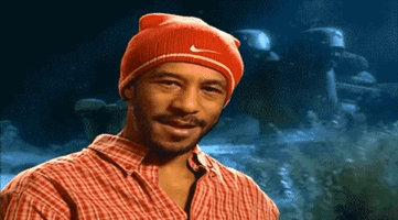 Red Dwarf Cat GIF
