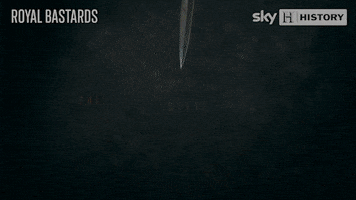 History Channel GIF by Sky HISTORY UK