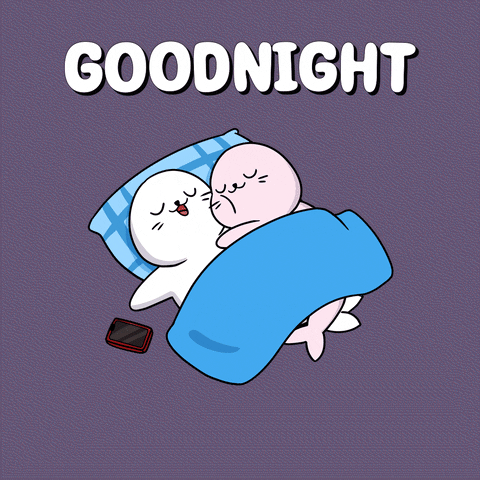 Good Night GIF by Sappy Seals