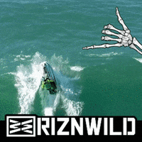 send it barrel roll GIF by RIZNWILD