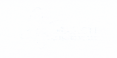 Monarch Laser Services GIF