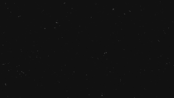 Ai GIF