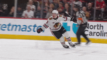 Chicago Hawks GIF by TheDreamTeam 