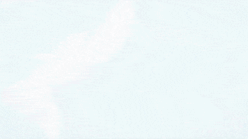 Mexico Playa GIF by VillaDALIJU