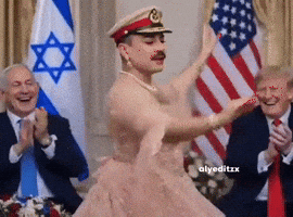 Donald Trump Usa GIF