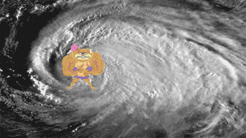 hurricane sandy storm GIF
