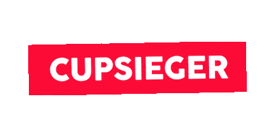 Soccer Bundesliga Sticker by Linz News