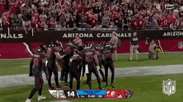 Arizona Cardinals Football GIF by NFL