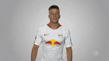 rb leipzig GIF by Bundesliga