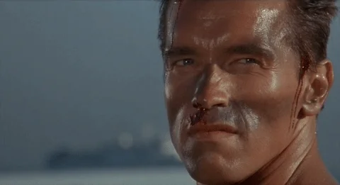 Arnold Schwarzenegger No GIF