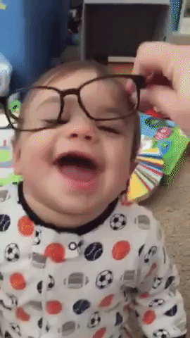 jeffreyboyd boydsofafeather GIF