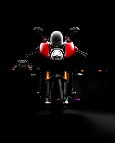 Motos Roadster GIF by Triumph Colombia - Grupo UMA