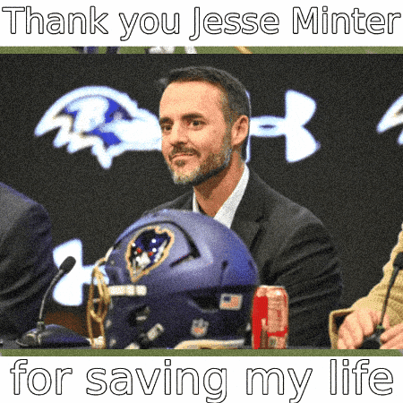 Baltimore Ravens GIF