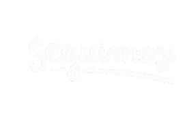 Gabriel Boric Chile Sticker