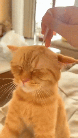 Never Mind Relax GIF