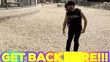 Mad Run GIF