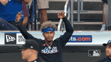 Francisco Lindor GIF by New York Mets