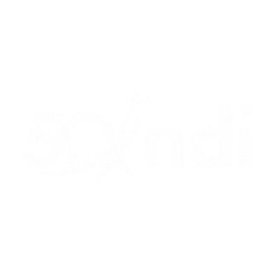 Ndi Sticker by National Dance Institute