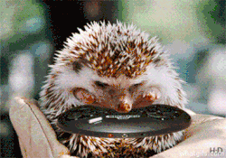 sonic the hedgehog s