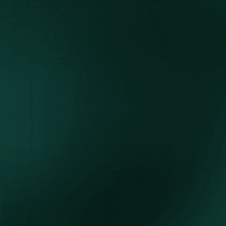 GIF by Channel Seed