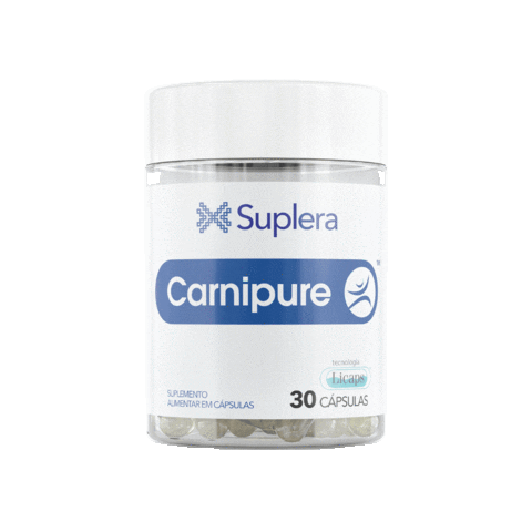 Suplera Sticker by i9 Magistral