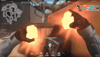 Phoenix GIF