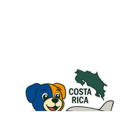 Costa Rica Plane Sticker by Alterra Home Loans