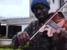Black Violin GIF