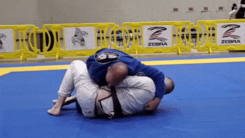 Bjj GIF