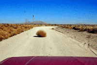 House And Tumbleweed GIFs - Find & Share on GIPHY