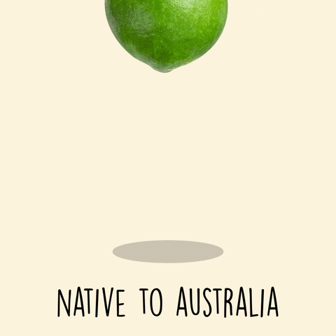 Cracking Macadamia Nut GIF by Australian Macadamias