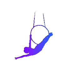 Academy Of Movement Sticker