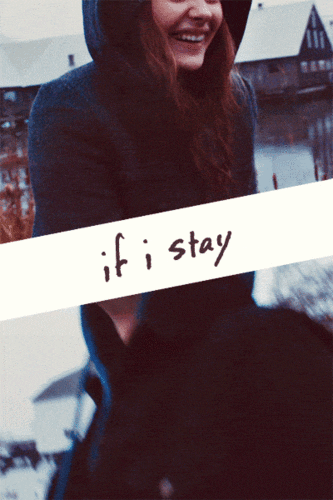 stay