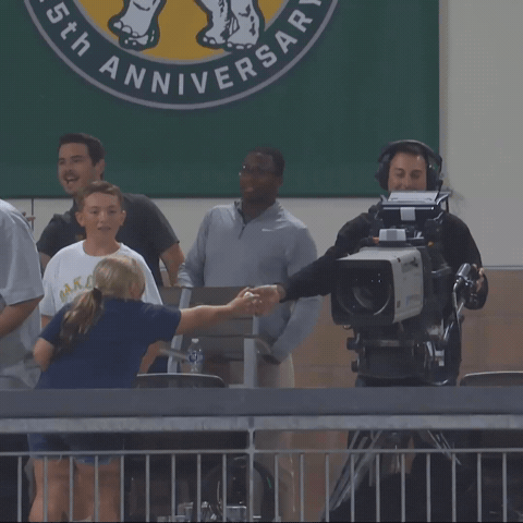 Fan Baseball Reaction