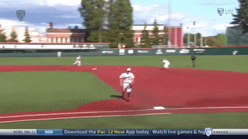 Ryan Ober GIF by Oregon State Baseball