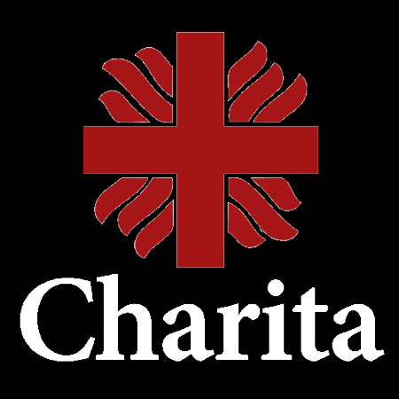 Charitacr GIF by Charita Ceska republika