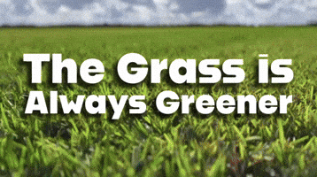 Lawn Care GIF by ENDURANT TURF PAINT