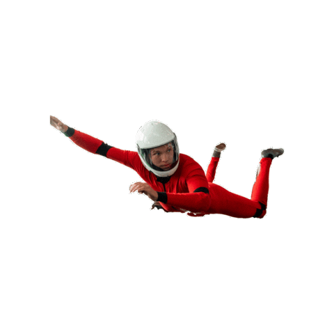 RealFly Sion Sticker