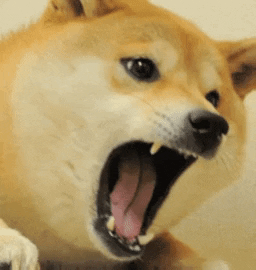 Angry Dog GIF