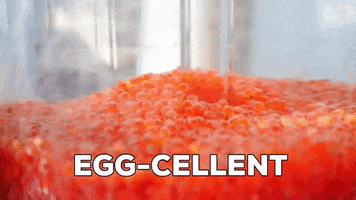 Fishing Eggs GIF by U.S. Fish and Wildlife Service