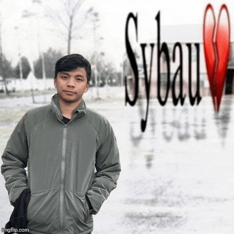 Sybau GIF