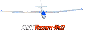 Glider Sticker by planeprint