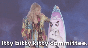 Taylor Swift Itty Bitty Kitty Committee GIF by FOX Teen Choice