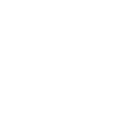 Sunshine Coast Young Chamber of Commerce Sticker
