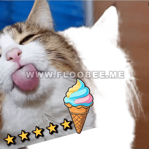 Cats GIF