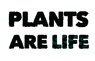 Sticker Text Sticker by CloudcamGIPHS