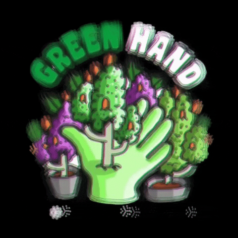 greenhandgrowshop green hand weed madrid GIF