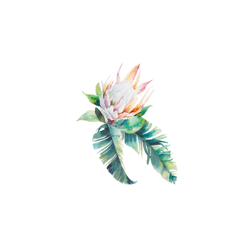 Flower Sommer Sticker by ICFLeipzig