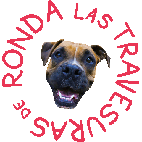 alextecuenta Sticker